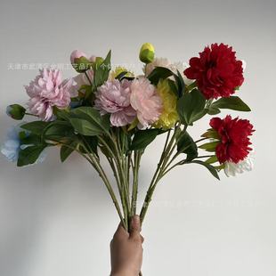 3�^��ș���Ҿ��b����Q���R�d���컨��c��ĵ�����ٻ����滨