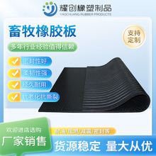 �������z�� ţ���i�ᱣ�؜p��؉| С�A�c�����ͳ��Bֳ�������z�|