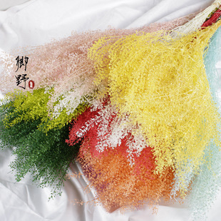 ���������l������ȶY�в����ָ��λ����������r�ҾӲ廨�G�}��