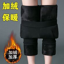 �ӽq�Ӻ��ﶬ�⴩��a�Ӻ񋌋�ѝ��Ů�ɾo����������������ŮѝZ