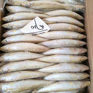 ���u�F؛���l���ɳ���~10kg���� ���� ���Sɳ���~ ���rɳ���~