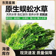 ˮ���ײͺ��B����ͻ�ֲ��ˮ����󾰾G�Ź�ˮ�|�~�������쾰����