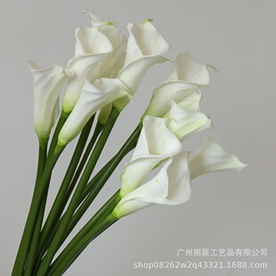 �������Q��Ʒ�|pu�ָе��R��ɏ���滨�ٻ��Ҿ��b�Y����