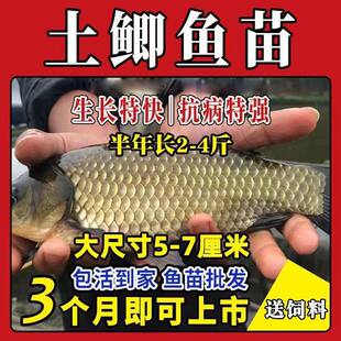 ���|��Ʒ�N���a�~�п�5̖�����a����a�߱��a�~�a�~�絭ˮ�Bֳ