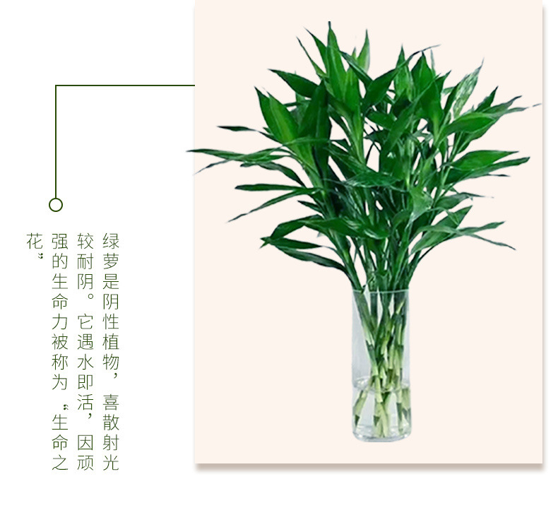 c61e6d85-9969-47e4-85af-63d786df19d9.jpe