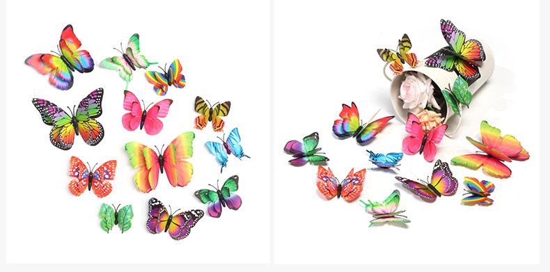 12只彩虹套装蝴蝶详情09 (2)