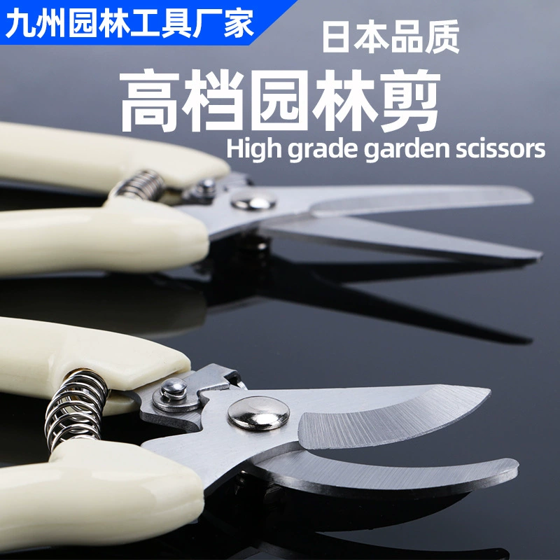 Секаторы, садовые ножницы, инструменты для обрезки плодовых деревьев, для флористики, для обрезки веток бонсай, оптовые инструменты для обрезки веток