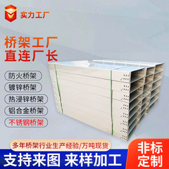 厂家批发304不锈钢电缆桥架槽式金属弱电防火喷塑支架