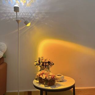 Double-headed water ripple atmosphere lamp net red projection photo bedroom live background sunset sunset lamp living room floor lamp