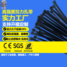 ���v�ߏ�����������  ��|늾������� ���������� ֧�� �� ��