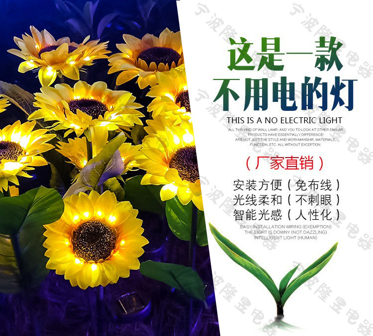 向日葵 主页图片 水印.jpg