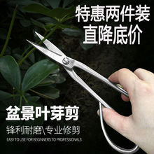 不锈钢园艺工具制作剪刀修叶芽修枝剪盆景插花造型枝叶花艺
