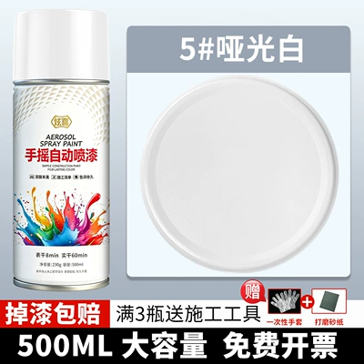paint can, Avtomobil boyası - 5-matte-white-500ml1-bottle