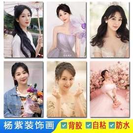 杨紫大海报画美女明星写真图片网红学生宿舍寝室卧室墙不干胶贴纸