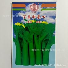 �����ƌ��������������Ĳˈ@Ժ�ӷNֲ�߲˷N��������l�S��ֱ�N