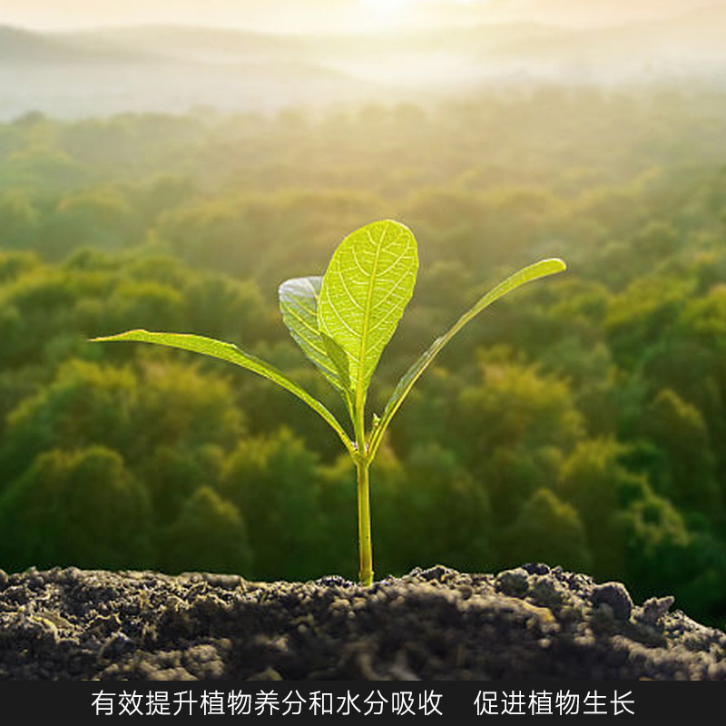 土壤活化劑水溶黃腐酸鉀緩釋生根調理改良劑防板結批發土壤活化寶