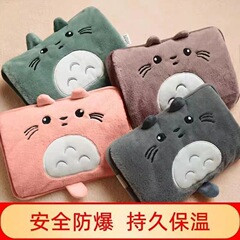 厂家直销批发国标龙猫热水袋充电式暖水袋暖手宝敷肚子电热宝防爆