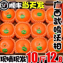 �V�����Q�ָ�9�����rˮ����������һ��ɳ������ɰ�Ǹ��ٽ�������