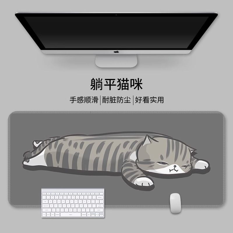 누워있는 고양이