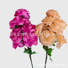 28����7�^��õ�� ˮ���� ���w�� ��̺ ������ ������Ʒ�S�����l