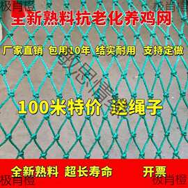 拦鸡网养鸡围网家禽养殖网山鸡网尼龙网菜园围栏网塑料网户外天网