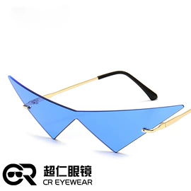 太阳镜;框架眼镜;老花镜