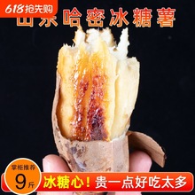 ɽ�|���ܱ��������r�����������ļt�������r���ԷNɳ�ط��ع�9��