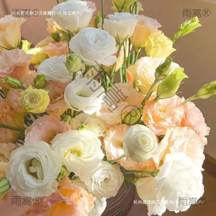 ��۹��廨�r�����ֱ�lֱ��������������ˮ�B�����󼪹����S��