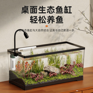 Real Water Grass Fish Tank Small Living Room Household Ecological Grass Tank Landscape Decoration Office Desktop Goldfish Tank Aquarium
