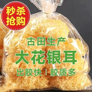 ���o����������y����؛���rѩ����ľ�����y�����ٺ��Ҝ����l