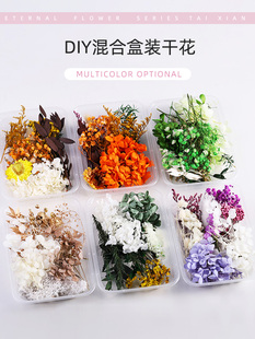 DIY�ɻ������ɻ������ϰ��~�ĈF������N���b̎��H��ɳ�����