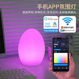 落地灯;小夜灯;庭院灯