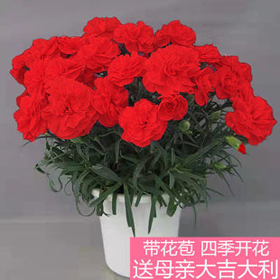 ����ܰ���Ԏ������ļ��_��ʯ���҃��̨�͏d�r���Gֲĸ�H������