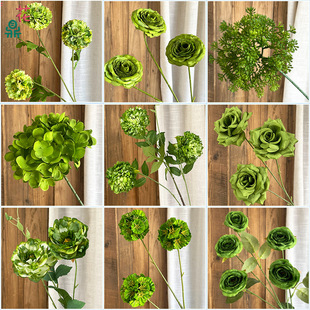 26����Gɫϵ���� �̘I�^��������ɭϵ�ٻ� ��c�zӰţ�͹��G����