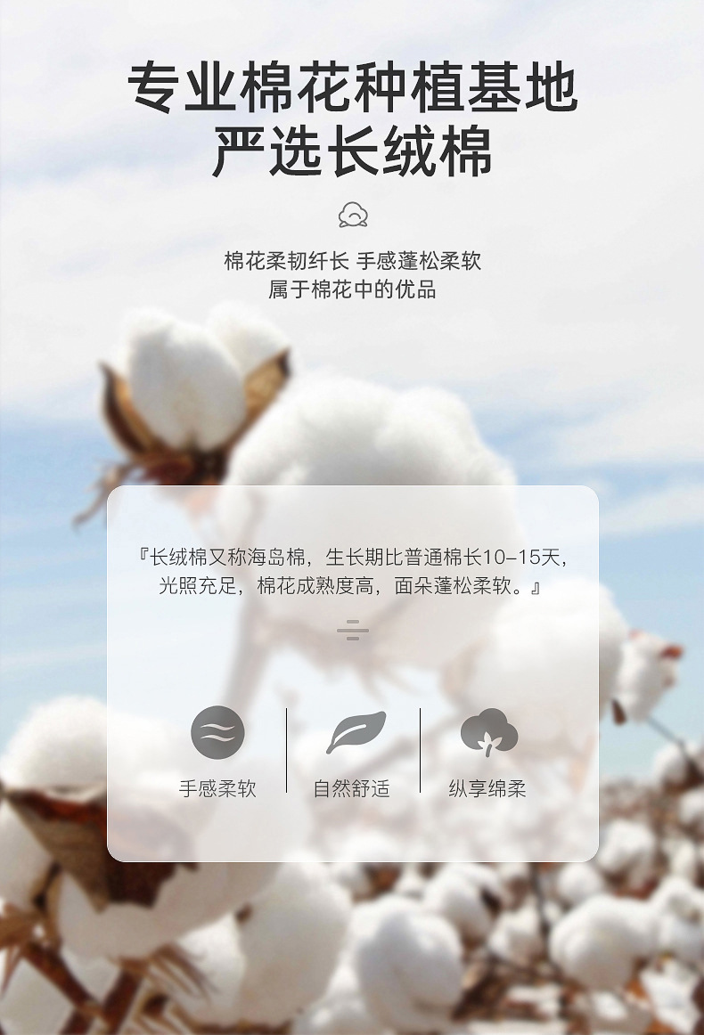 猫爪600支螺尖-内页_05