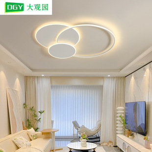 Grand View Garden Living Room Led Ceiling Light Modern Simple Elegant Main Living Room Light Zhongshan Lighting