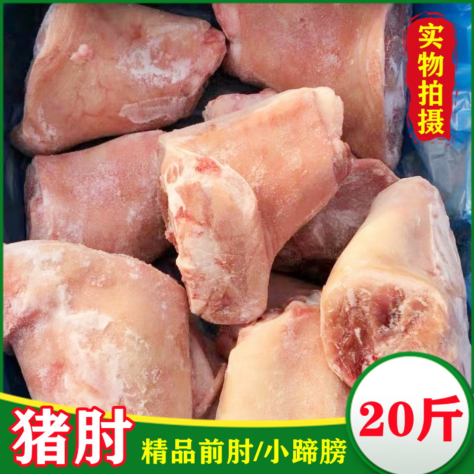 冷冻新鲜猪肘子 生猪蹄膀 猪后肘子 猪前肘子20斤箱 饭店餐馆食用