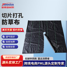 切片打孔防草布  单张开边打孔除草布 多行打孔中药材种植防草布