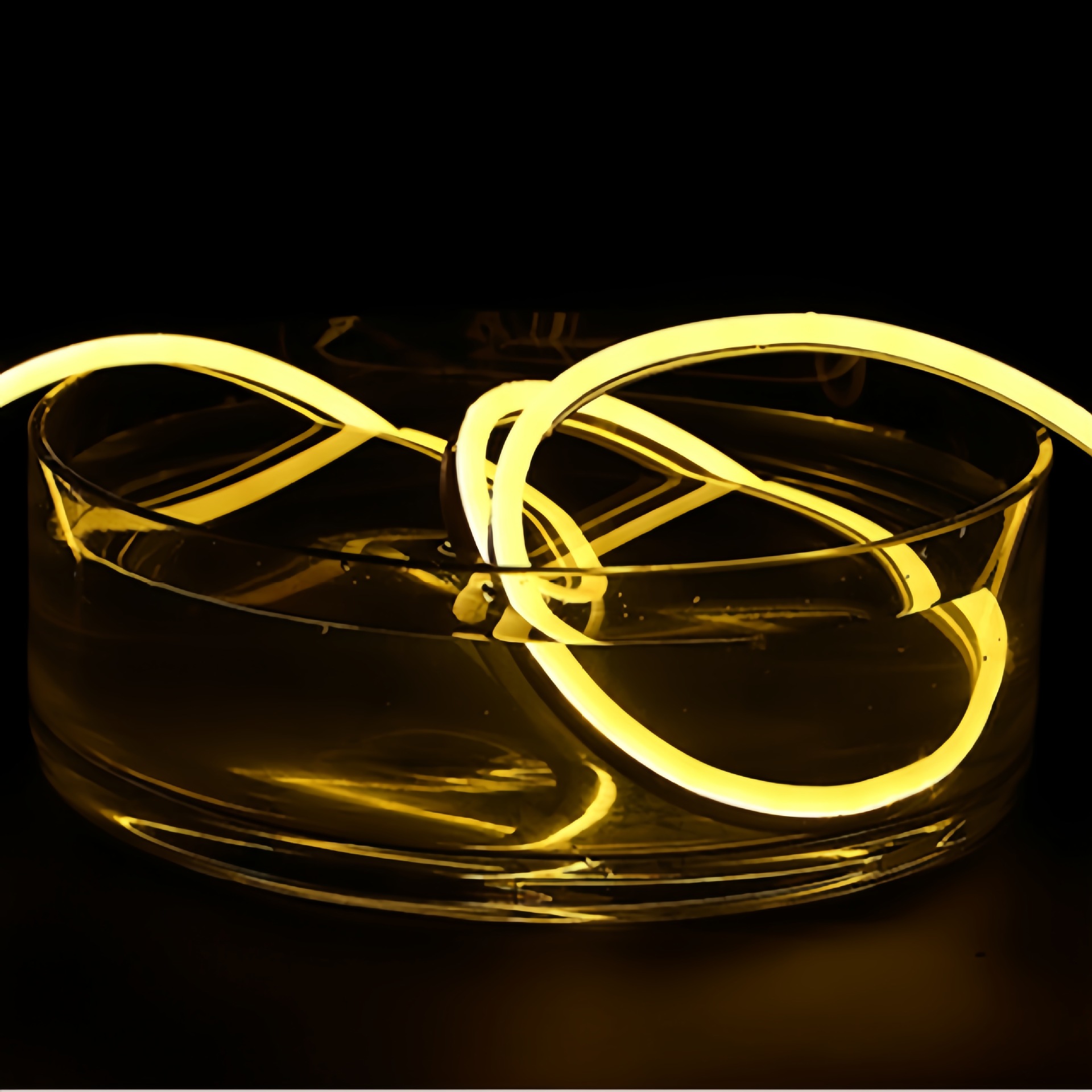 12V transfronterizo al aire libre impermeable silicona 6*12 baja presión de neón led tira de luz especial 24V8*16 tira de luz