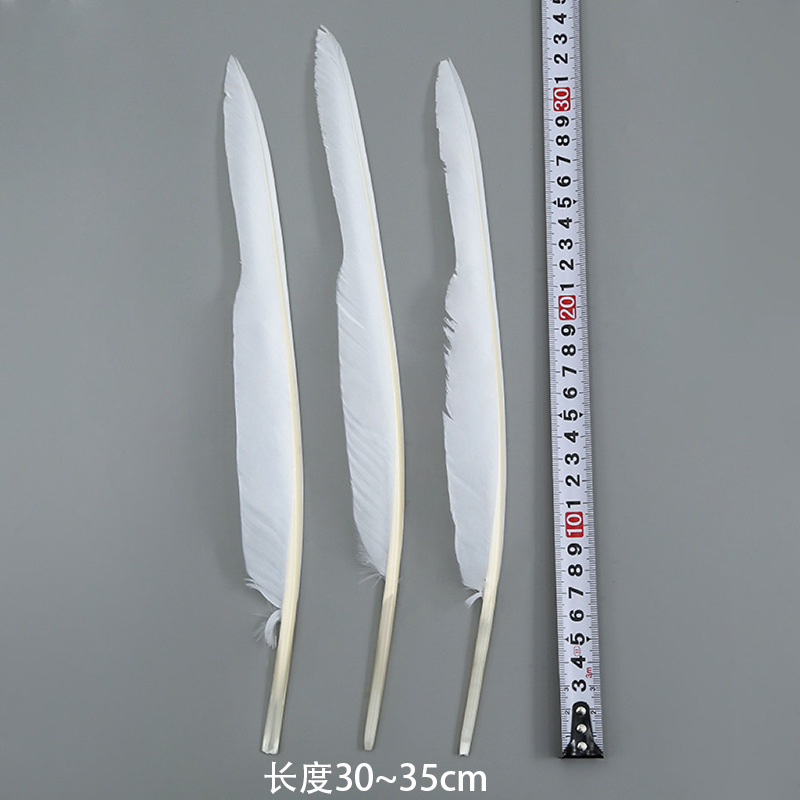 꼽추 (100의 배수로 주문)