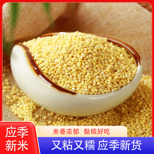 ���S�� �r���SŴ��������S��ŴС������s�Z 500g