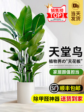 B͏d;Gֲk҃լʽ~Qmȩֲ