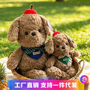 �ɐ�̩�Ϲ�������ż�����O��С��ë�q��߃�ͯ˯�X�����W�tͬ��