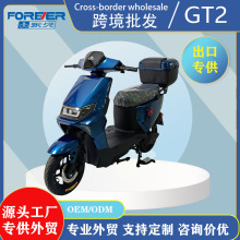 �羳�����¿�GT2��ɫ��ƿ���������ֵ糵���ʵ綯�����г���ó