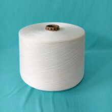 21S�oِĪ������ ������ܛ ���Ⱦɫ ��;�V��