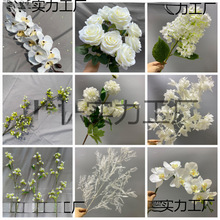 ��ɫ���滨��Y���öY��·���廨ɭϵ��c��̨�b�����Ż�����