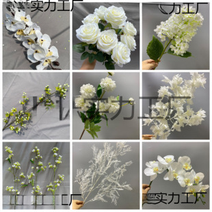 ��ɫ���滨��Y���öY��·���廨ɭϵ��c��̨�b�����Ż�����