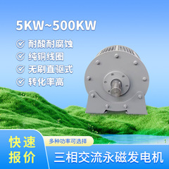 三相交流永磁发电机 出货快