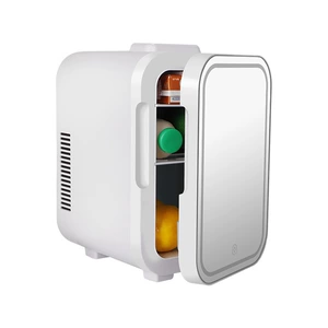 8L işıqlı makiyaj güzgüsü, avtomobil/ev üçün mini soyuducu, isitmə/soyutma