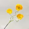 Poppy orange